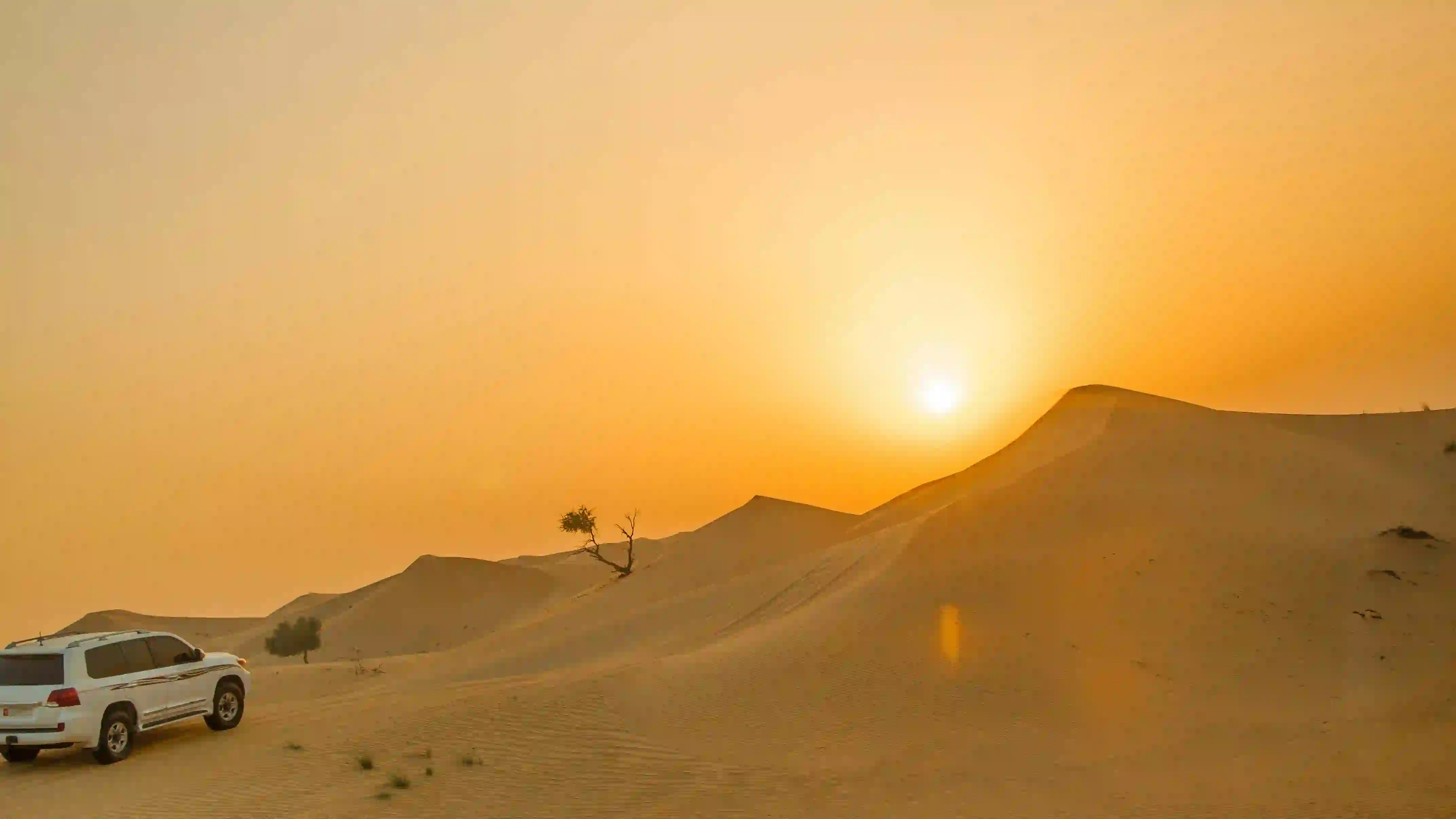 Morning Desert Safari - Sunrise Dune Romance