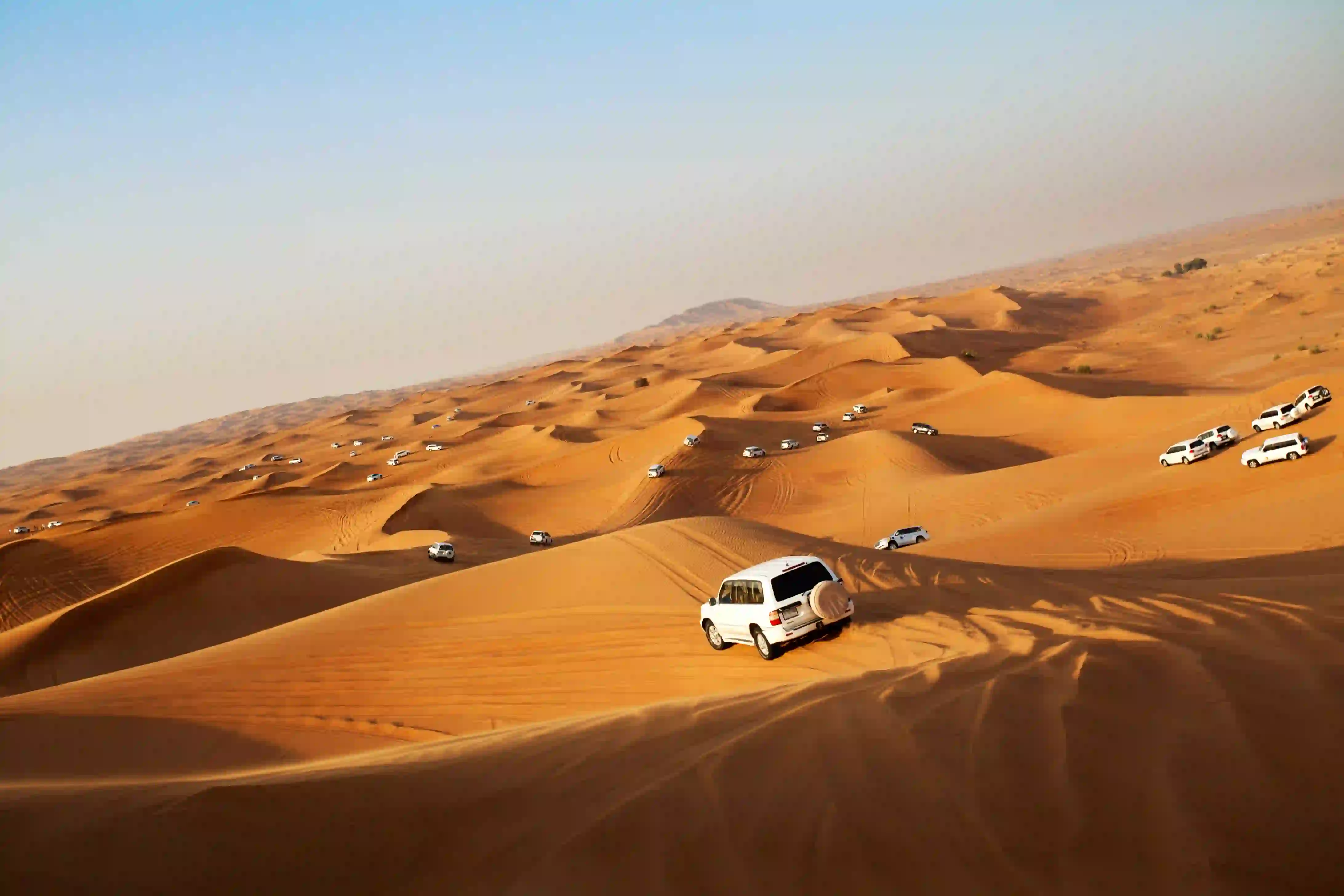 Desert Safari Experience