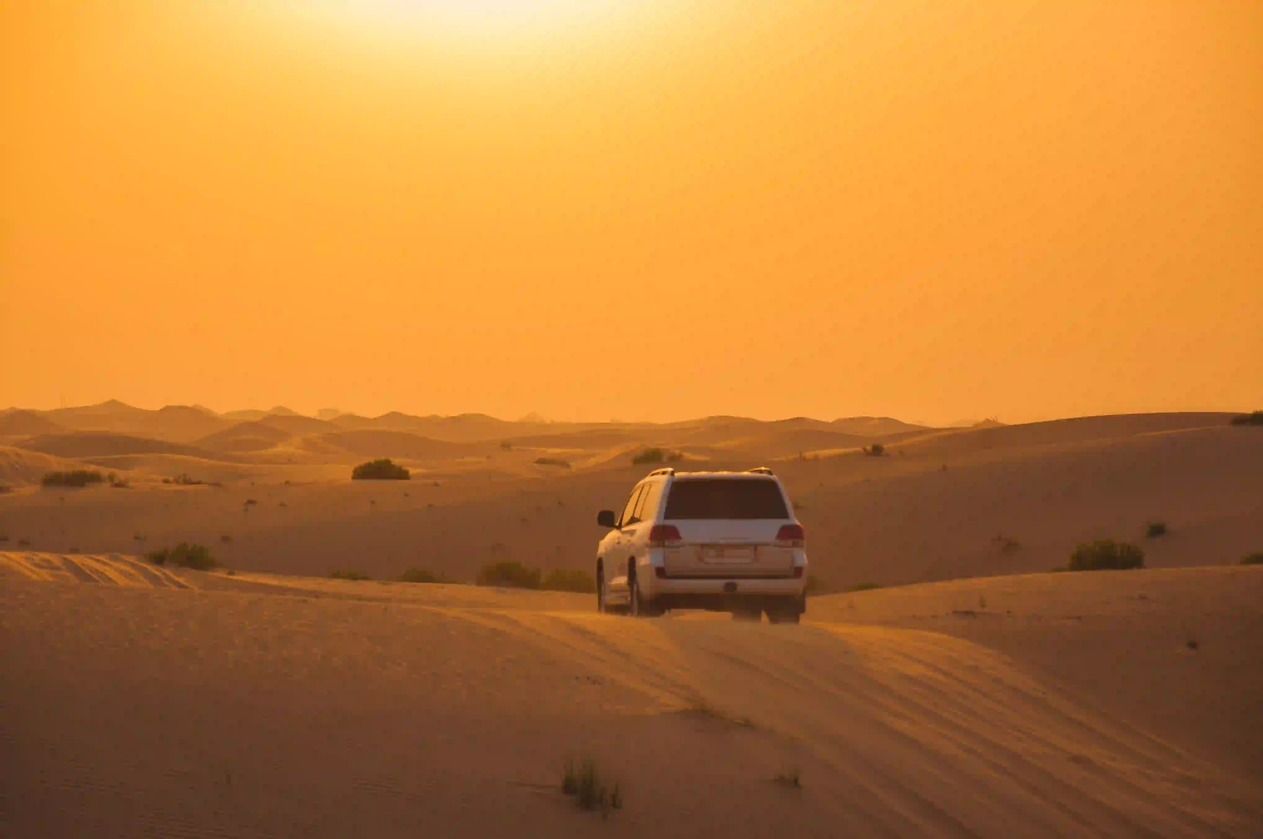 Private Morning Desert Safari - Ruby Morning Escape